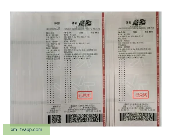 世界杯精彩赛事全解析与投注技巧指南助你精准竞猜获利